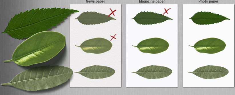 Prints of leaves on different types of paper
